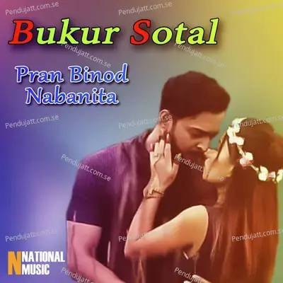 Bukur Sotal - Pran Binod album cover 
