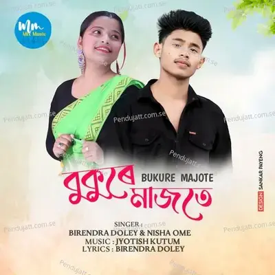 Bukure Majote - Birendra Doley album cover 