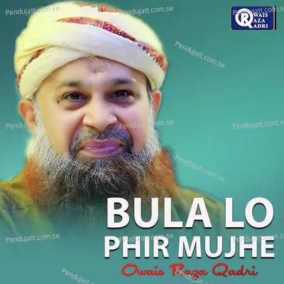 Rok Leti Hai Ap Ki Nisbat - Owais Raza Qadri album cover 