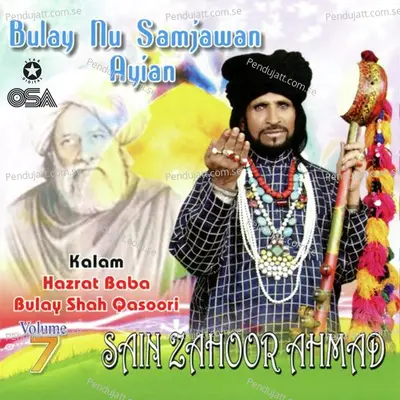 Rub Warga Roop Maan Da - Saieen Zahoor album cover 