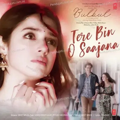 Bulbul (A Short Film) - Meet Bros cover album