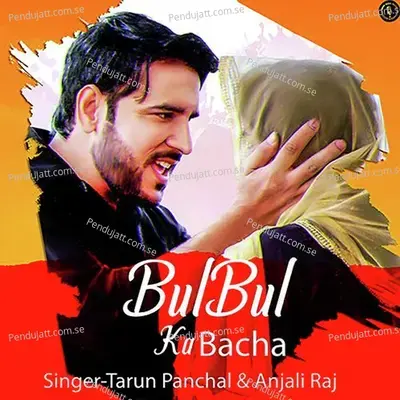 Bulbul Ka Bacha - Tarun Panchal (TR Music) album cover 