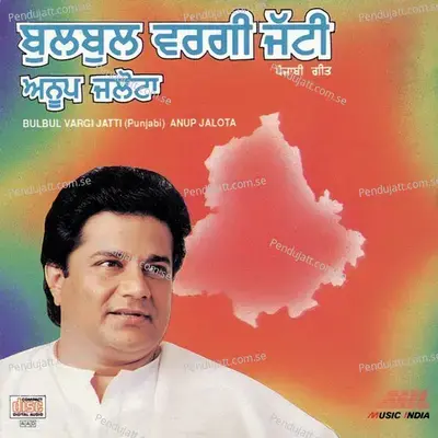 Mere Dil Vich - Anup Jalota album cover 