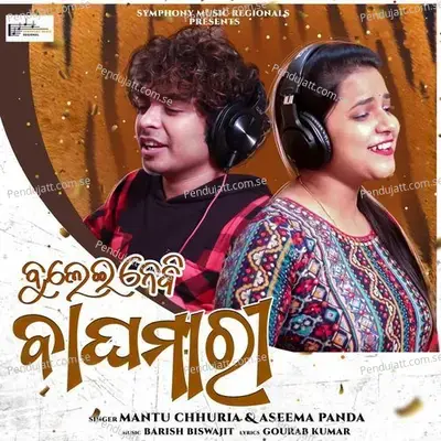 Bulei Nebi Baghamari - Mantu Chhuria album cover 