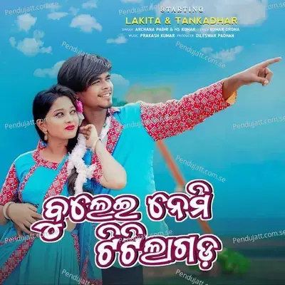 Buleinemi Titilagada - Archana Padhi album cover 