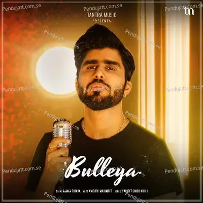 Bulleya - Aaman Trikha album cover 