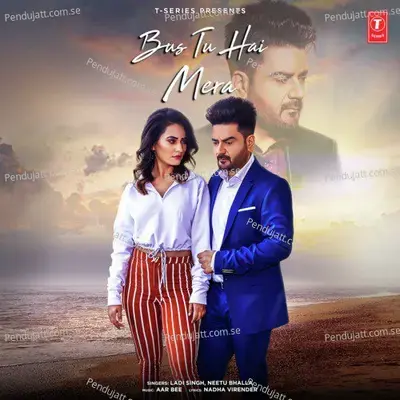 Bus Tu Hai Mera - Aar Bee album cover 