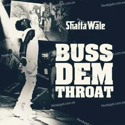 Bust Dem Throat - Shatta Wale album cover 