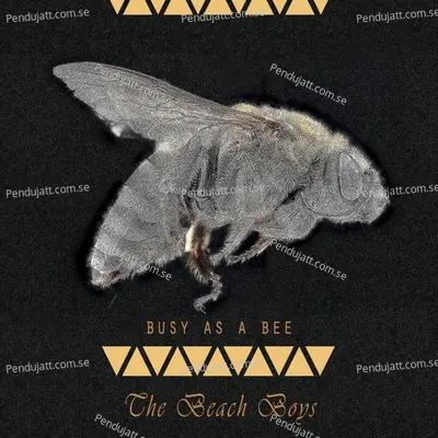 Busy As A Bee - The Beach Boys cover album