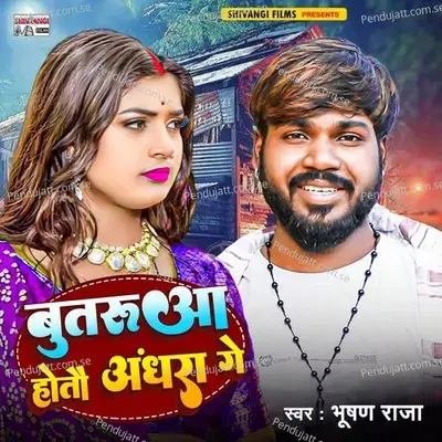 Butaruaa Hotau Andhara Ge - Bhushan Raja album cover 