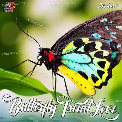 Butterfly Trend Love - Suman Singh album cover 