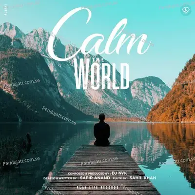 Calm The World - DJ NYK album cover 