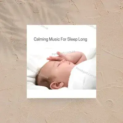 Calming Music For Sleep Long - Lakhan Hire album cover 