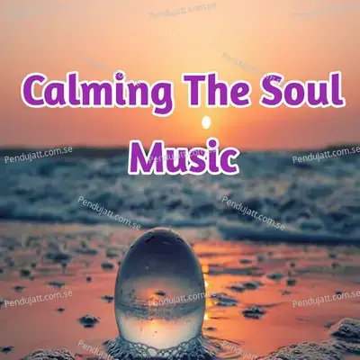 Calming The Soul Music - Lakhan Hire cover album