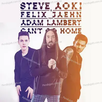 Can  039 T Go Home  Radio Edit  - Steve Aoki cover album