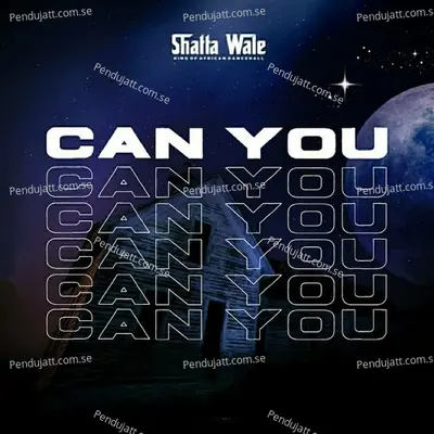 Can You - Shatta Wale album cover 