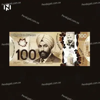 Canadian Dream - Chani Nattan