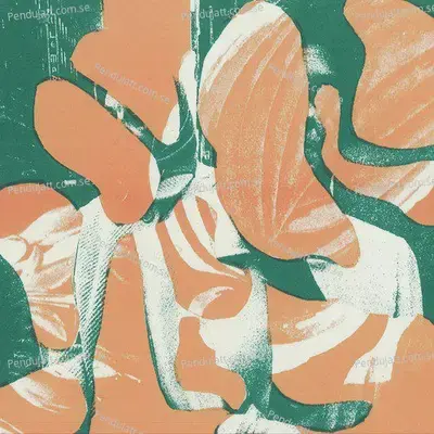 Can'T You Tell - Manu cover album