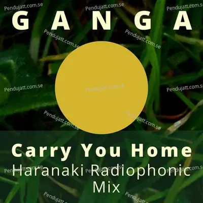 Mufasa  The Lion King  Hindi Original Motion Picture Soundtrack 