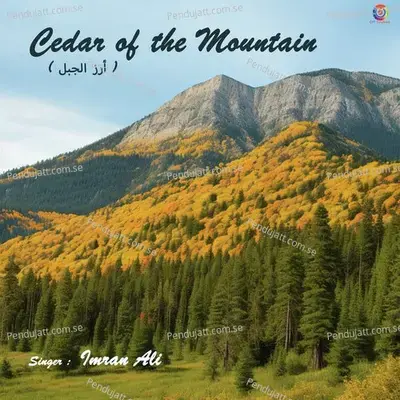 Cedar Of The Mountain - Imran Ali album cover 