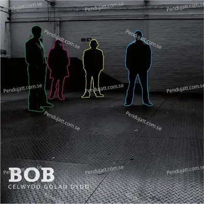 Celloedd Yn Y Meddwl - Bob album cover 