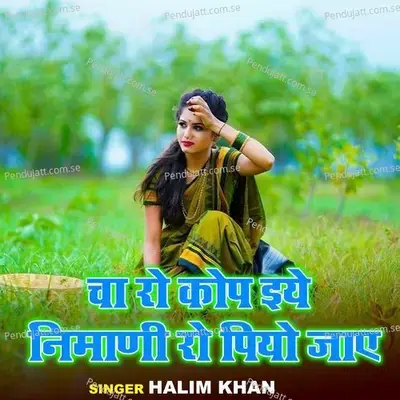 Cha Ro Chop Eye Niyamni Ro Piyo Jay - Halim Khan album cover 