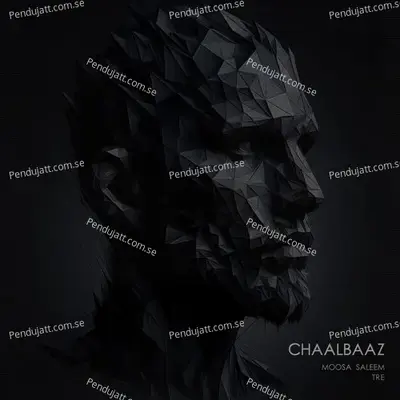 Chaalbaaz - Moosa Saleem album cover 