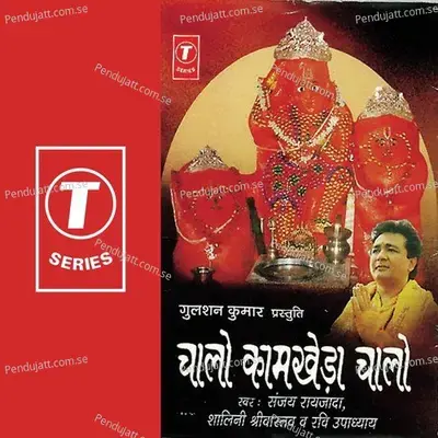 Chamcham Nache - Rajiv Bhatt album cover 