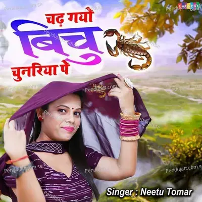 Chadh Gayo Bichu Chunariya Pe - Neetu Tomar album cover 