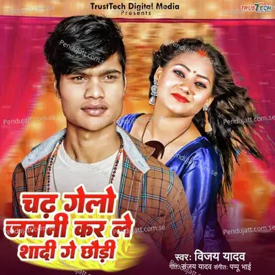 Chadh Gelo Jawani Karle Shadi Ge Chaudhi - Vijay Yadav album cover 