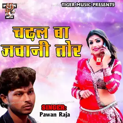 Ae Saiya - Pawan Raja album cover 