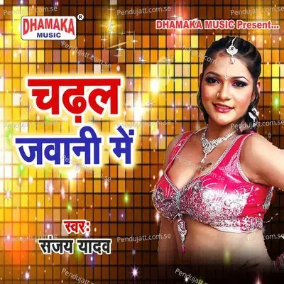 Bhola Ji Ke Puja - Sanjay Yadav album cover 