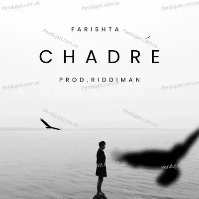 Chadre - Farishta album cover 