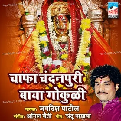 Chafa Chandanpuri Baya Gokuli - Jagdish Patil album cover 