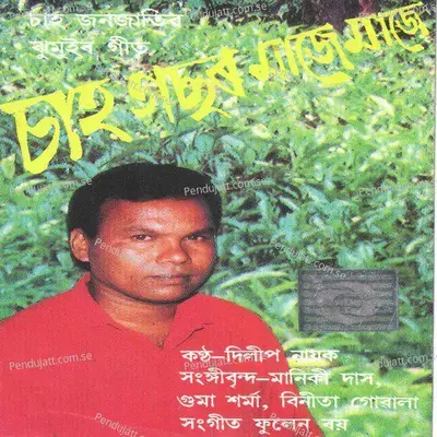 Jisuaker Bachan - Dilip Nayak album cover 