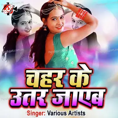 Para Pari Se Maja Lele Bani - Shailesh Premi album cover 