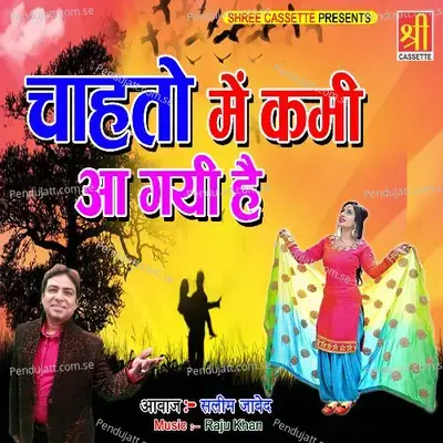 Wo Kitna Jawani Pe Sitam Dhaye Huye Hai - Salim Javed album cover 