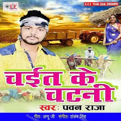 Chait Ke Chatani - Pawan Raja album cover 