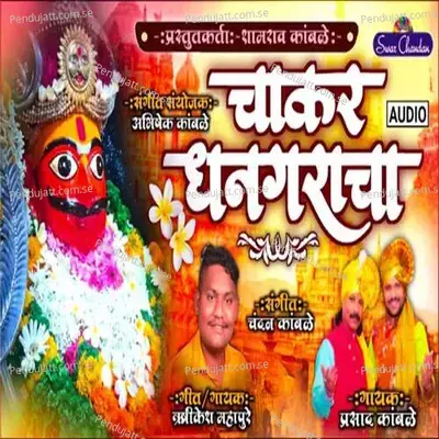 Chakar Dhangaracha - Rushikesh Mahapure album cover 