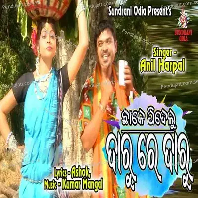 Chake Pidelu Daru - Anil Harpal album cover 