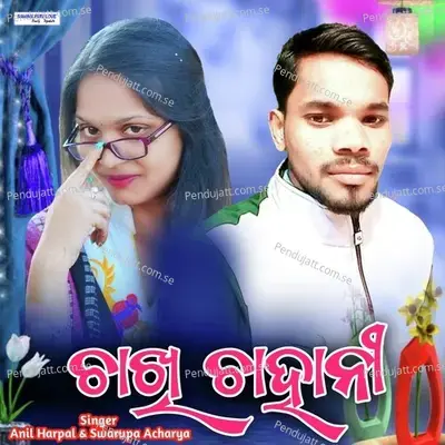 Chakhi Chahani - Anil Harpal album cover 