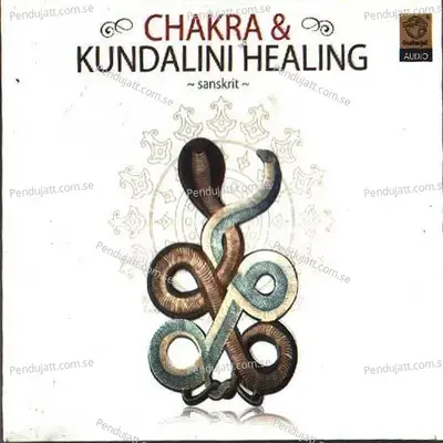 Chakra Kundalini Healing - Dr.R. Thiagarajan cover album