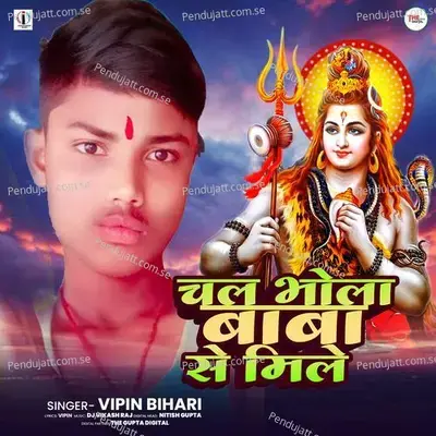 Chal Bhola Baba Se Mile - Vipin Bihari album cover 