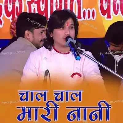 Chal Chal Mari Nani - Bhagwat Suthar album cover 