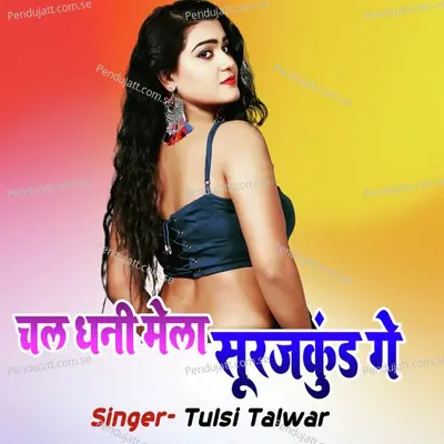 Chal Dhani Mela Surujkund Ge - Tulsi Talwar album cover 
