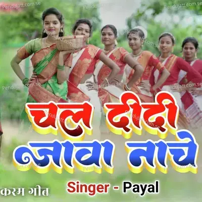 Chal Didi Jawa Nache - Payal album cover 