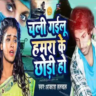 Chal Gailo Gamara Ke - Aakash Halchal album cover 