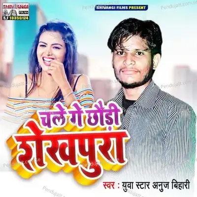 Chal Ge Chhaudi Shekhpura - Yuwa Star Anuj Bihari album cover 