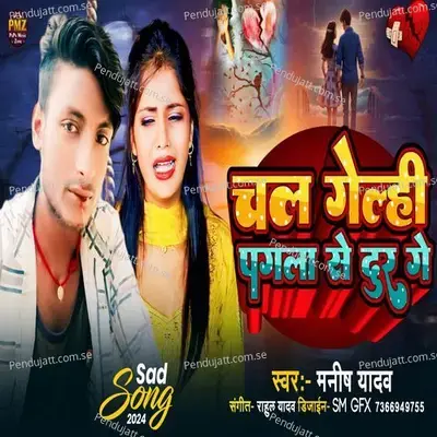 Chal Gelahi Pagla Se Dur - Manish Yadav album cover 