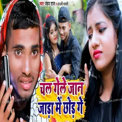 Chal Gele Jaan Jada Me Chhod Ge - Nandan Raj album cover 